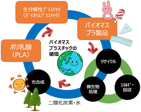 PlaQuick_バイオマスプラスチックの循環